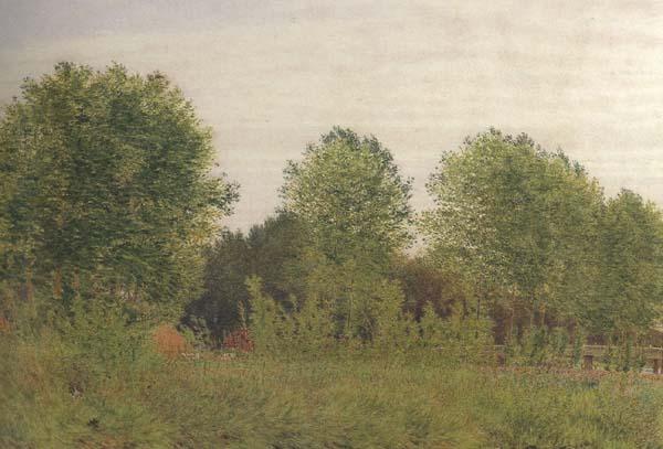 George Price Boyce.RWS Black Poplars at Pangbourne (mk46) China oil painting art